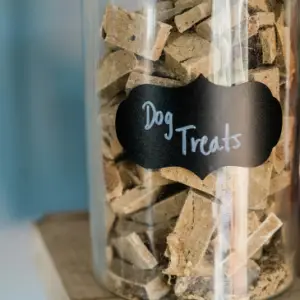 Homemade dog treats in glass jar with label for go green pet care