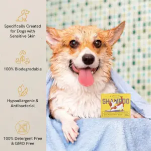 Dog with JH Liggets Dog Shampoo Bar
