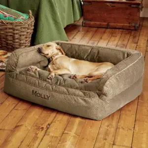 Dog sleeping in Orvis Dog Bed